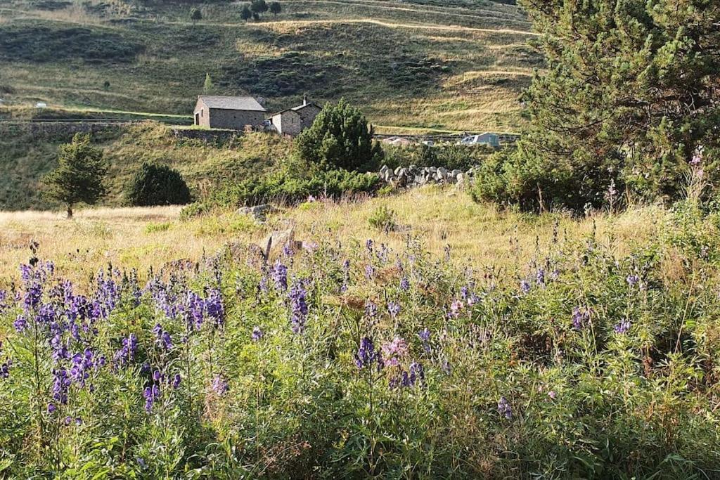 Acollidor Estudi Amb Encant Nordic I Amb Parquing, Al Costat De Grandvalira Canillo Buitenkant foto